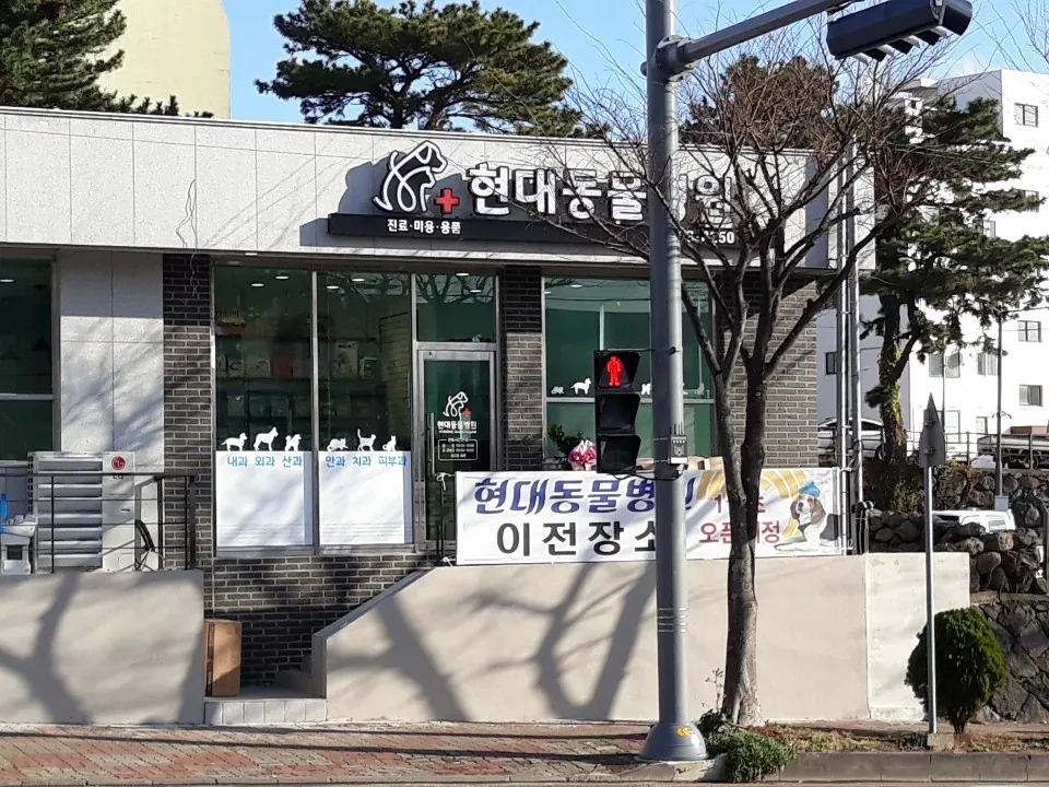 현대동물병원 대표 이미지
