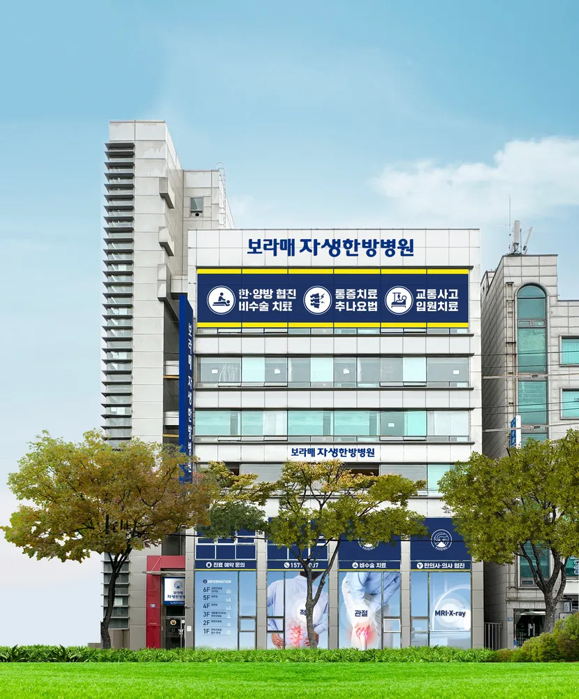 보라매자생한방병원 대표 이미지