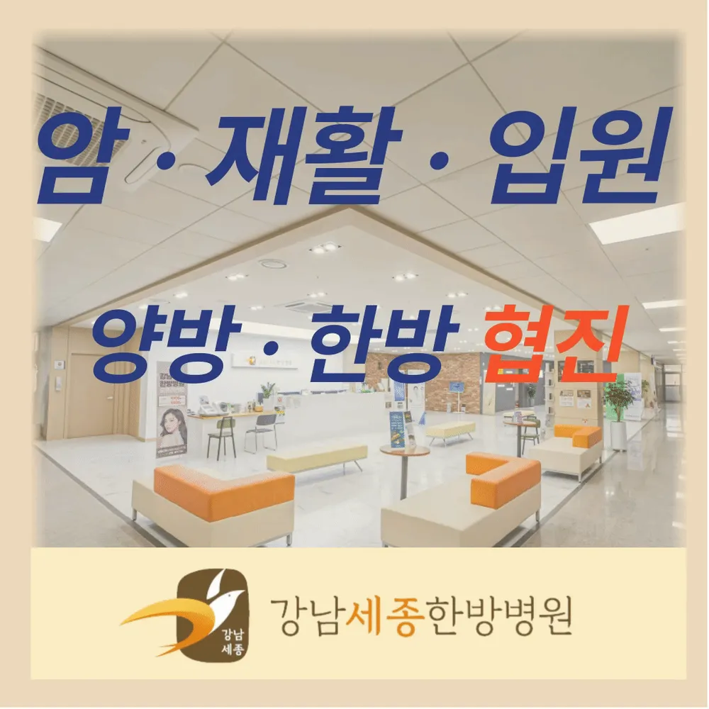 강남세종한방병원 대표 이미지