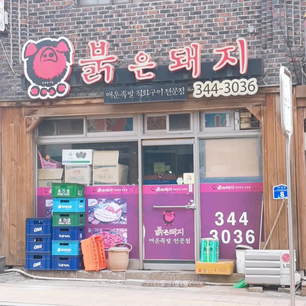 붉은돼지 대표 이미지