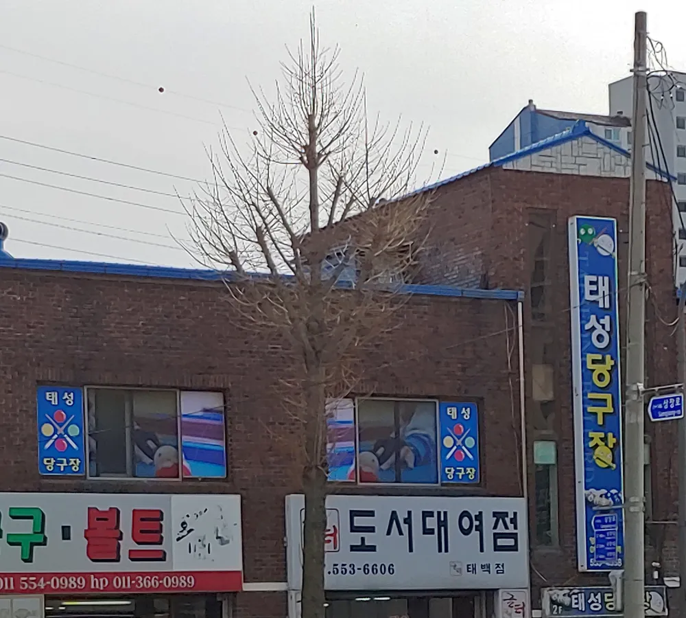 태성당구장 대표 이미지