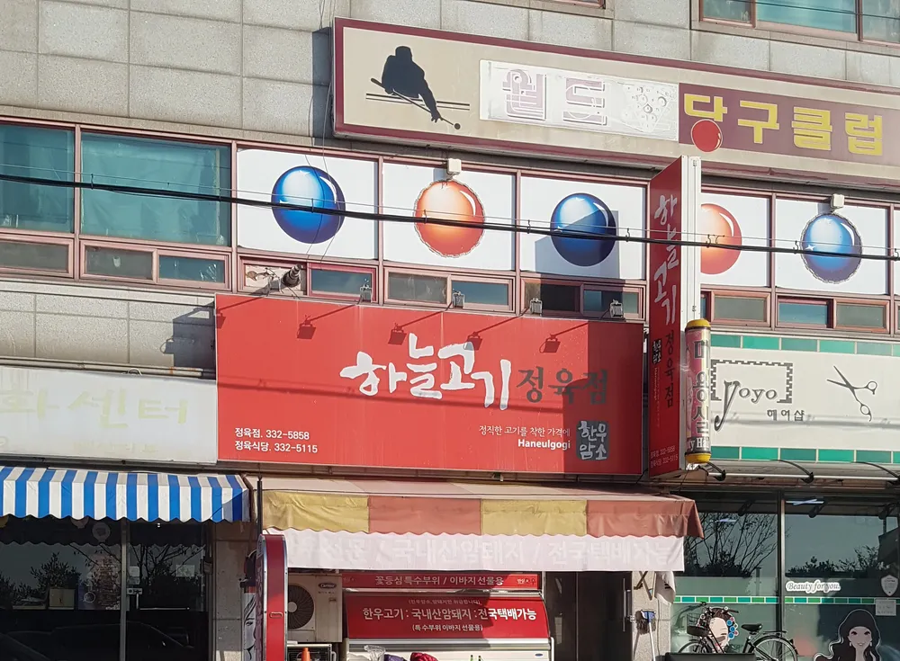 월드당구클럽 대표 이미지