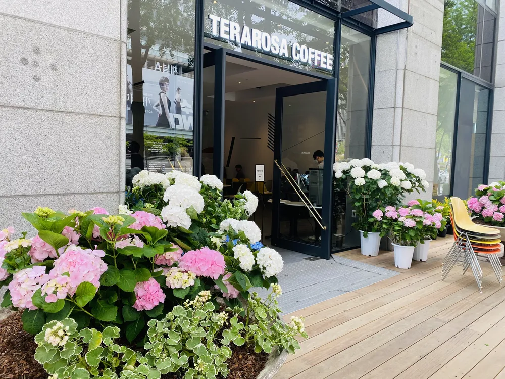테라로사 청계광장점 대표 이미지