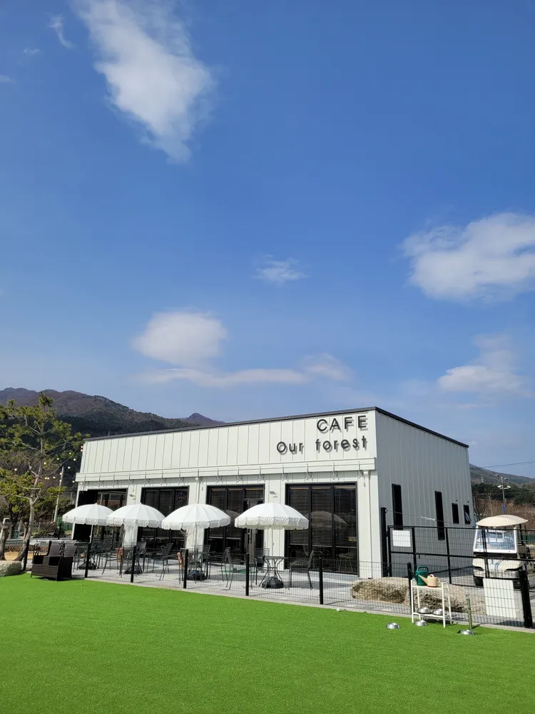 카페 아워포레스트 대표 이미지