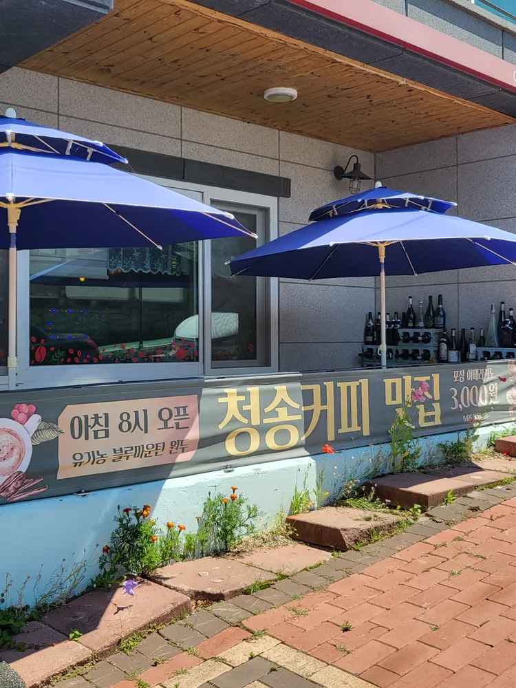 청송커피엠버 대표 이미지