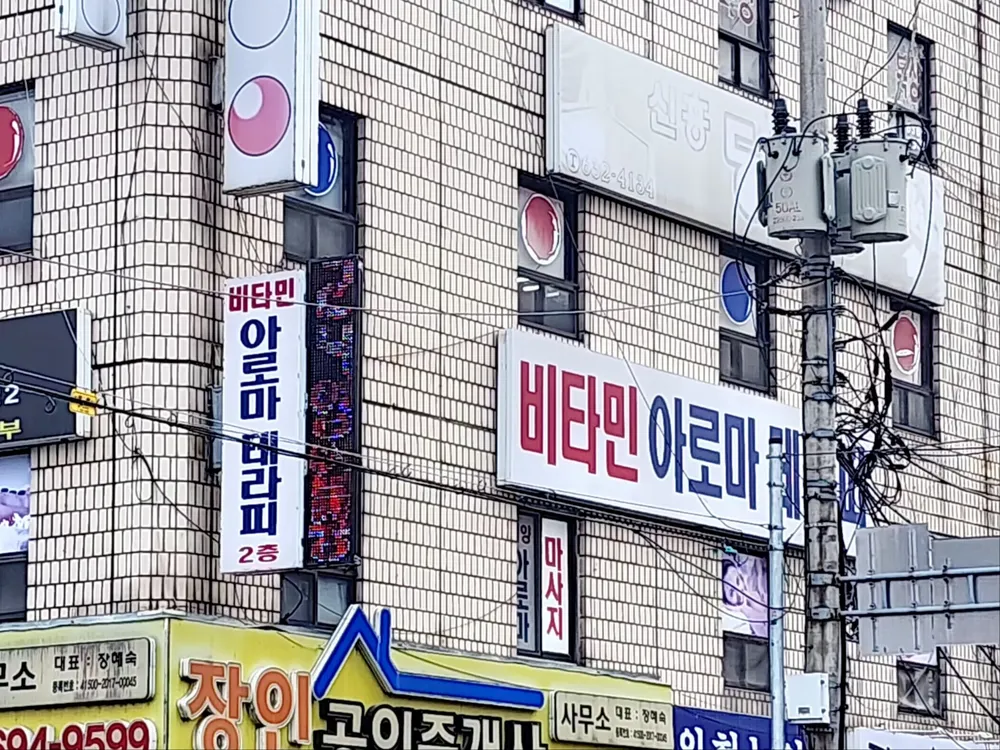 비타민 대표 이미지