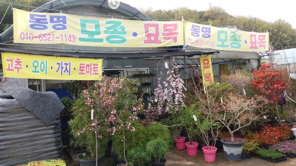 동명묘목조경 대표 이미지