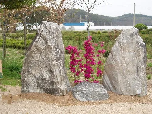 나무시장흥해조경 대표 이미지