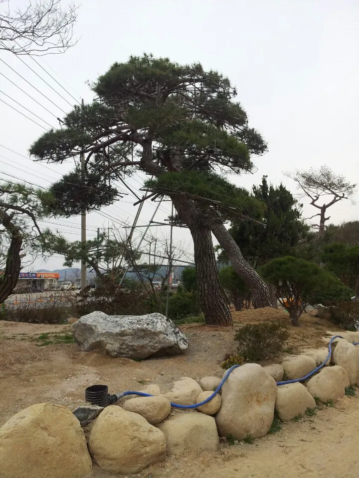 팔도조경 대표 이미지