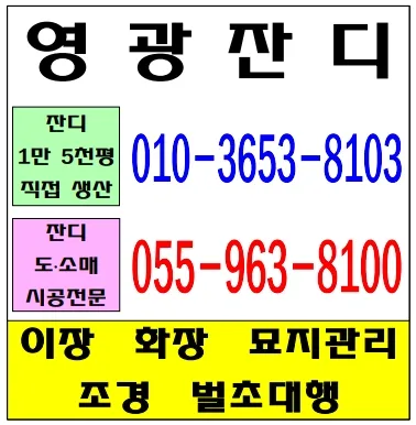 영광잔디 대표 이미지