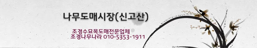 조경나무나라 대표 이미지