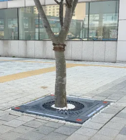 아크라케어글로벌 대표 이미지