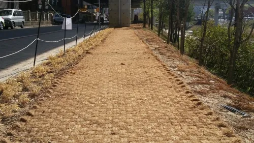 코코텍스 대표 이미지