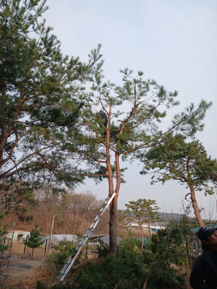 푸른조경 대표 이미지