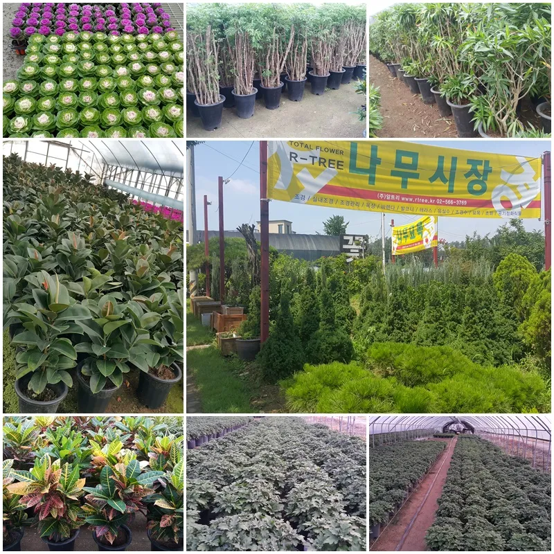 조경장인 대표 이미지