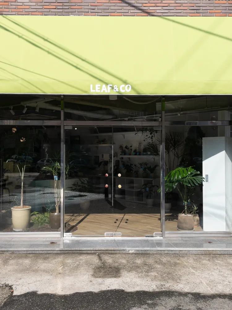 리프앤코 대표 이미지