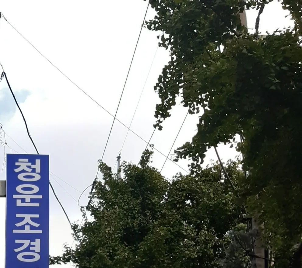 청운조경 대표 이미지