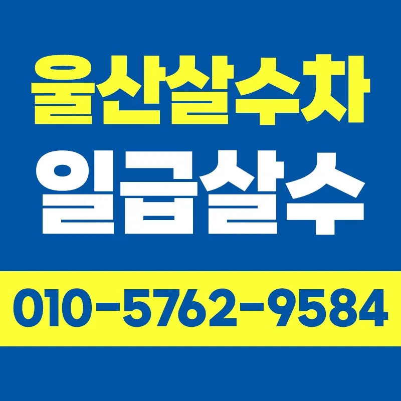 일급살수 대표 이미지