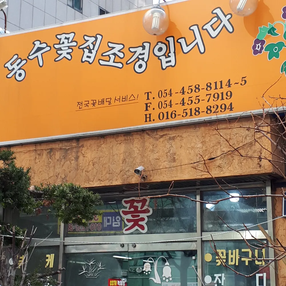 동수꽃집조경 대표 이미지