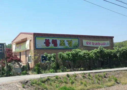 봉림조경 대표 이미지