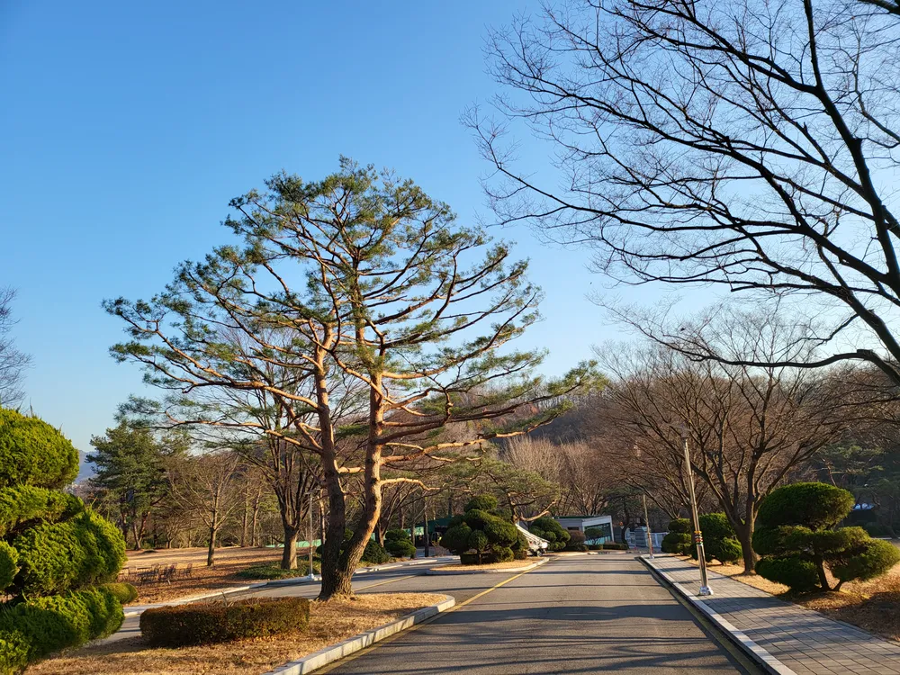 안상돈 가드닝 대표 이미지