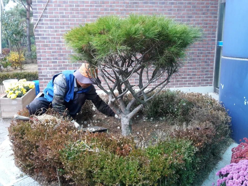 성원조경 대표 이미지