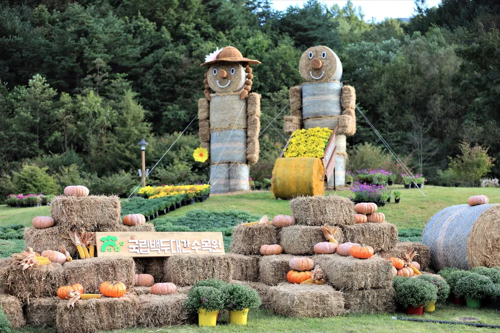 한국수목원정원관리원 대표 이미지