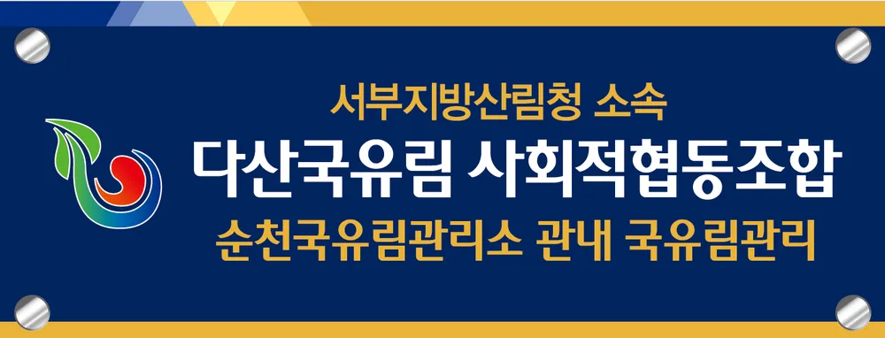 다산국유림영림단 사회적협동조합 대표 이미지