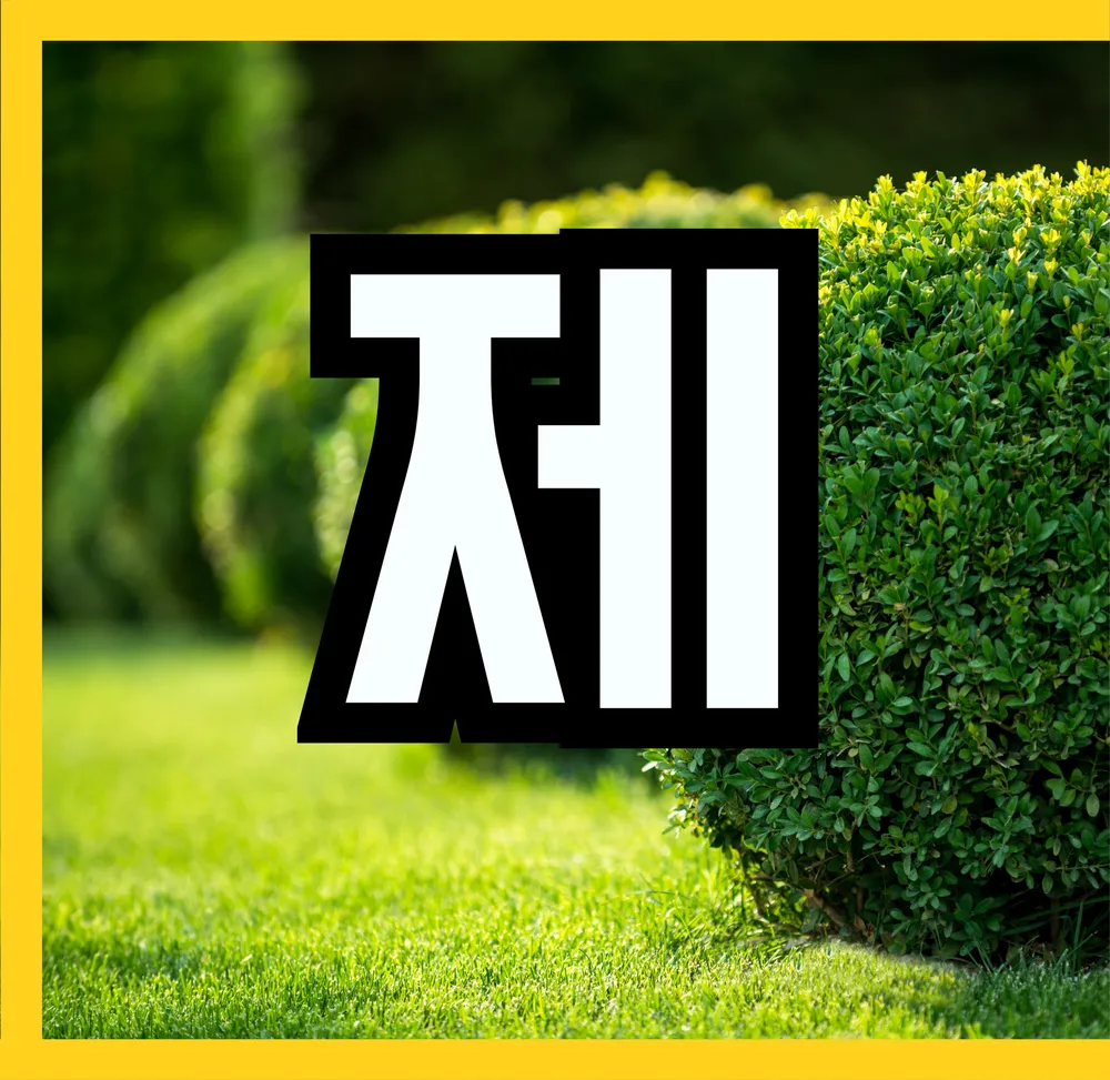 고맙수다 본사 대표 이미지
