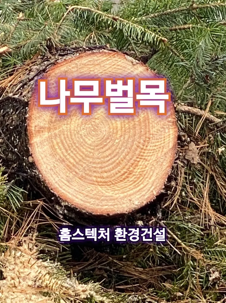 홈스텍처 환경건설 대표 이미지