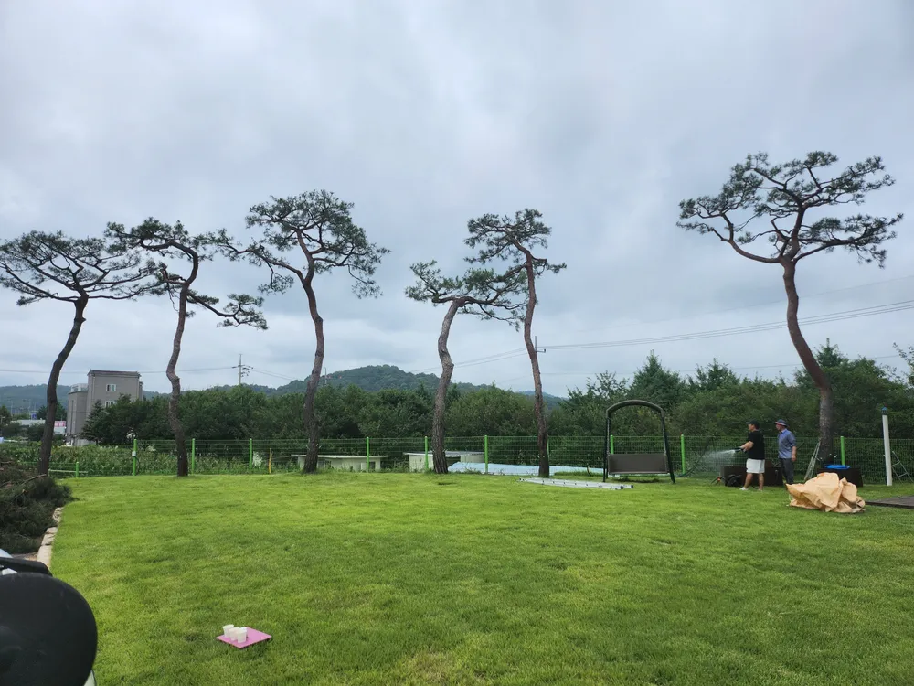 나무숲조경과팩트툴 대표 이미지