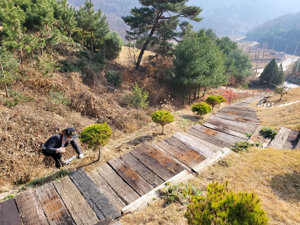 음성푸른잔디 대표 이미지