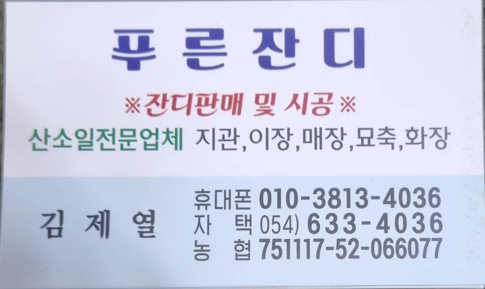 푸른잔디 대표 이미지