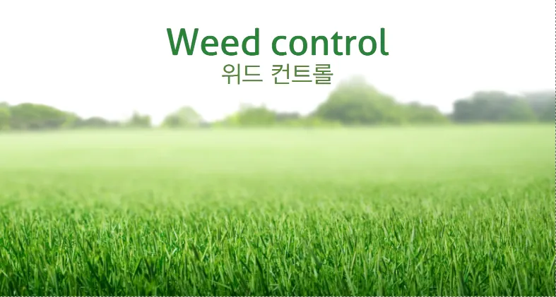 위드 컨트롤 대표 이미지