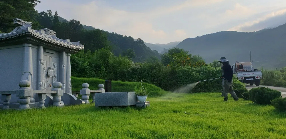 잔디와 사람들 대표 이미지