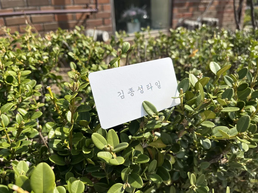 김종성타일