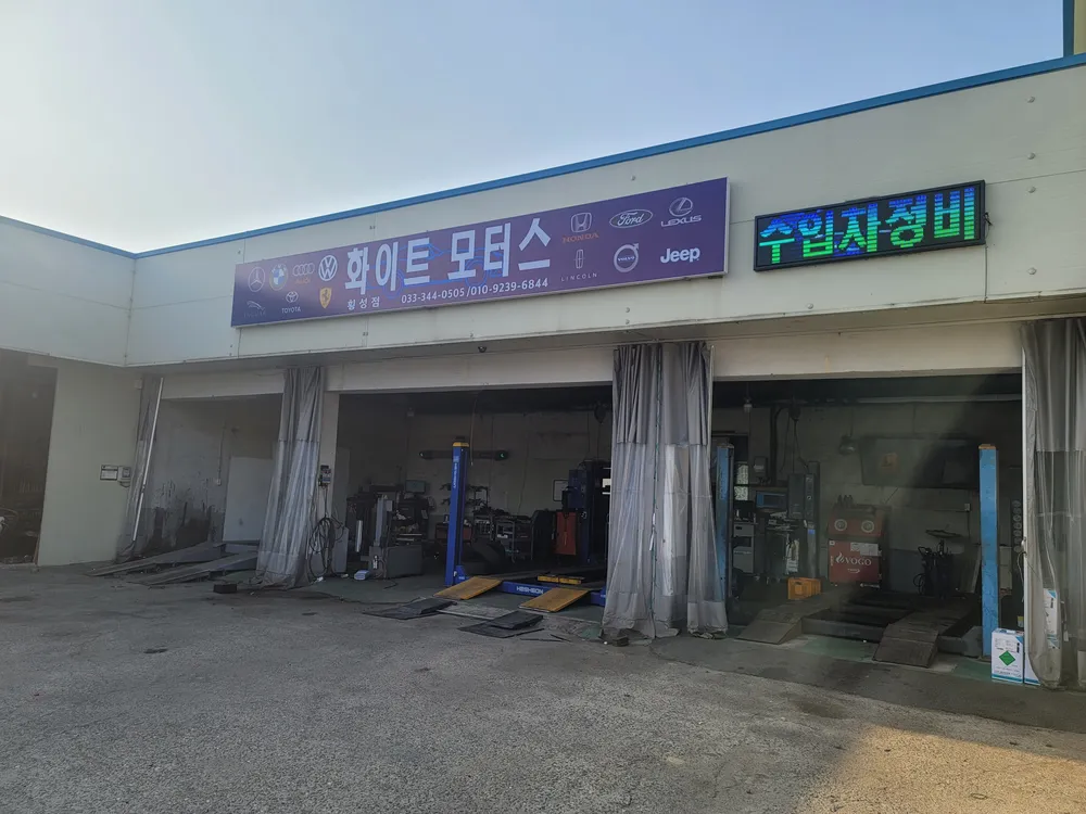화이트모터스 대표 이미지