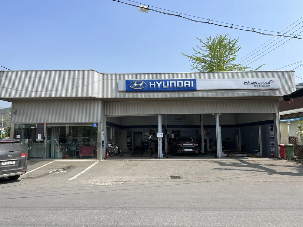 블루핸즈 청양점 대표 이미지