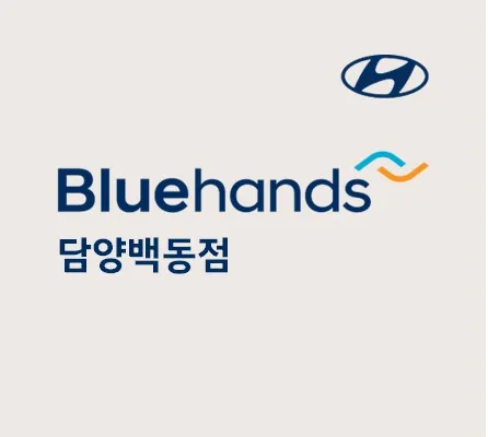 현대자동차블루핸즈 담양백동점 대표 이미지