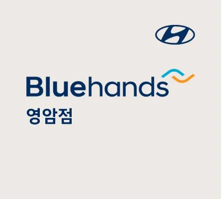 블루핸즈영암점 대표 이미지