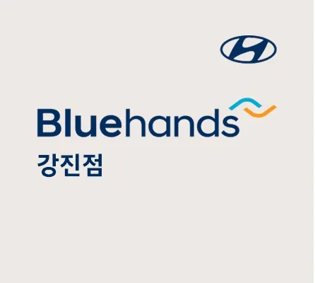 블루핸즈 강진점 대표 이미지