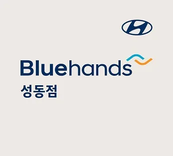 블루핸즈 성동점 대표 이미지