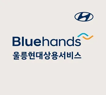 블루핸즈 울릉현대상용서비스 대표 이미지