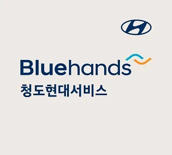 블루핸즈 청도현대서비스 대표 이미지