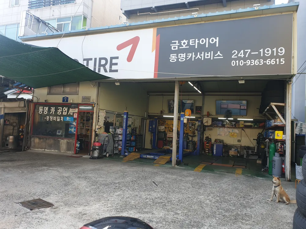 금호타이어동명카공업사 대표 이미지