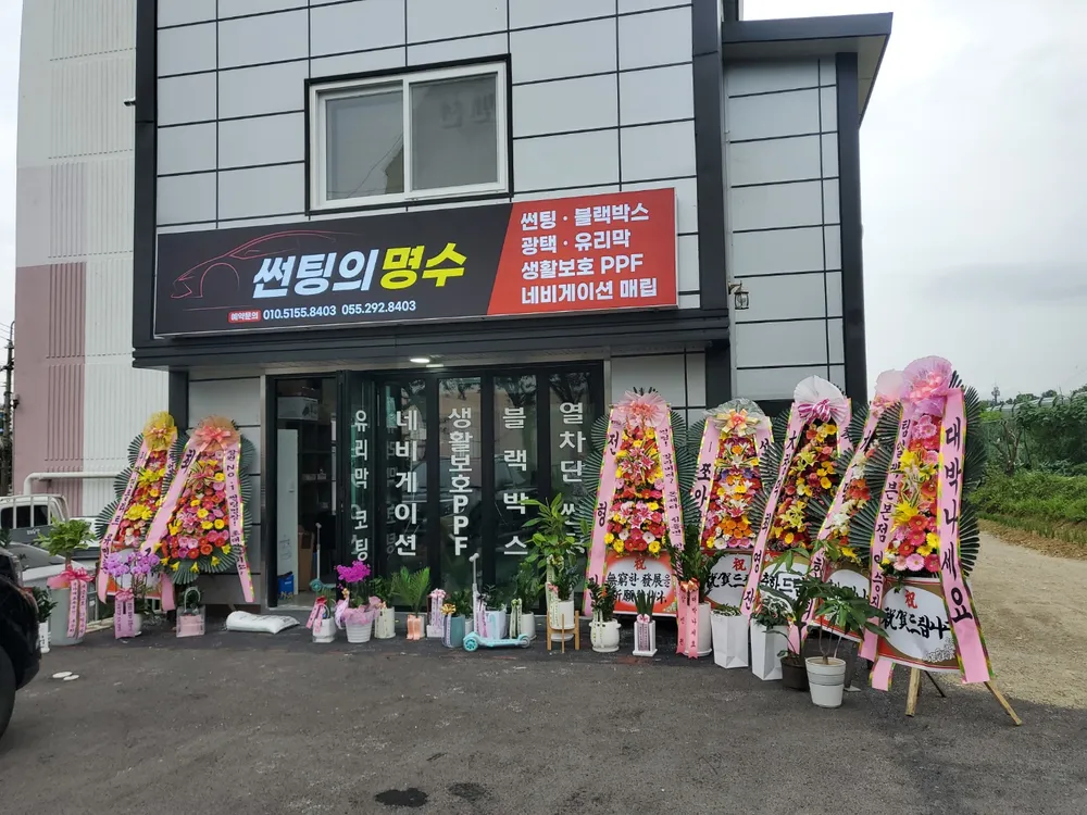 썬팅의명수 대표 이미지