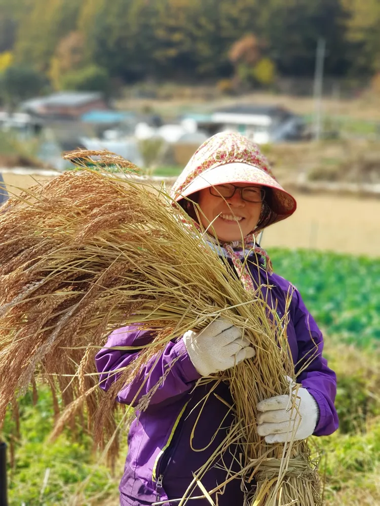 안성치과의원 대표 이미지