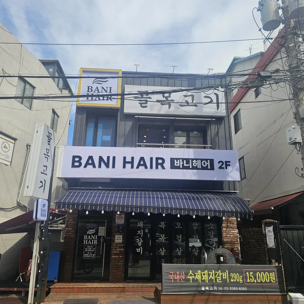 바니헤어 대표 이미지
