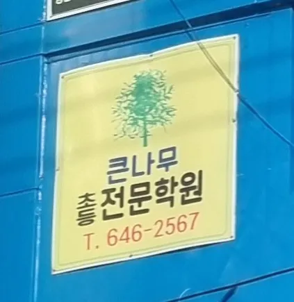 큰나무보습학원 대표 이미지