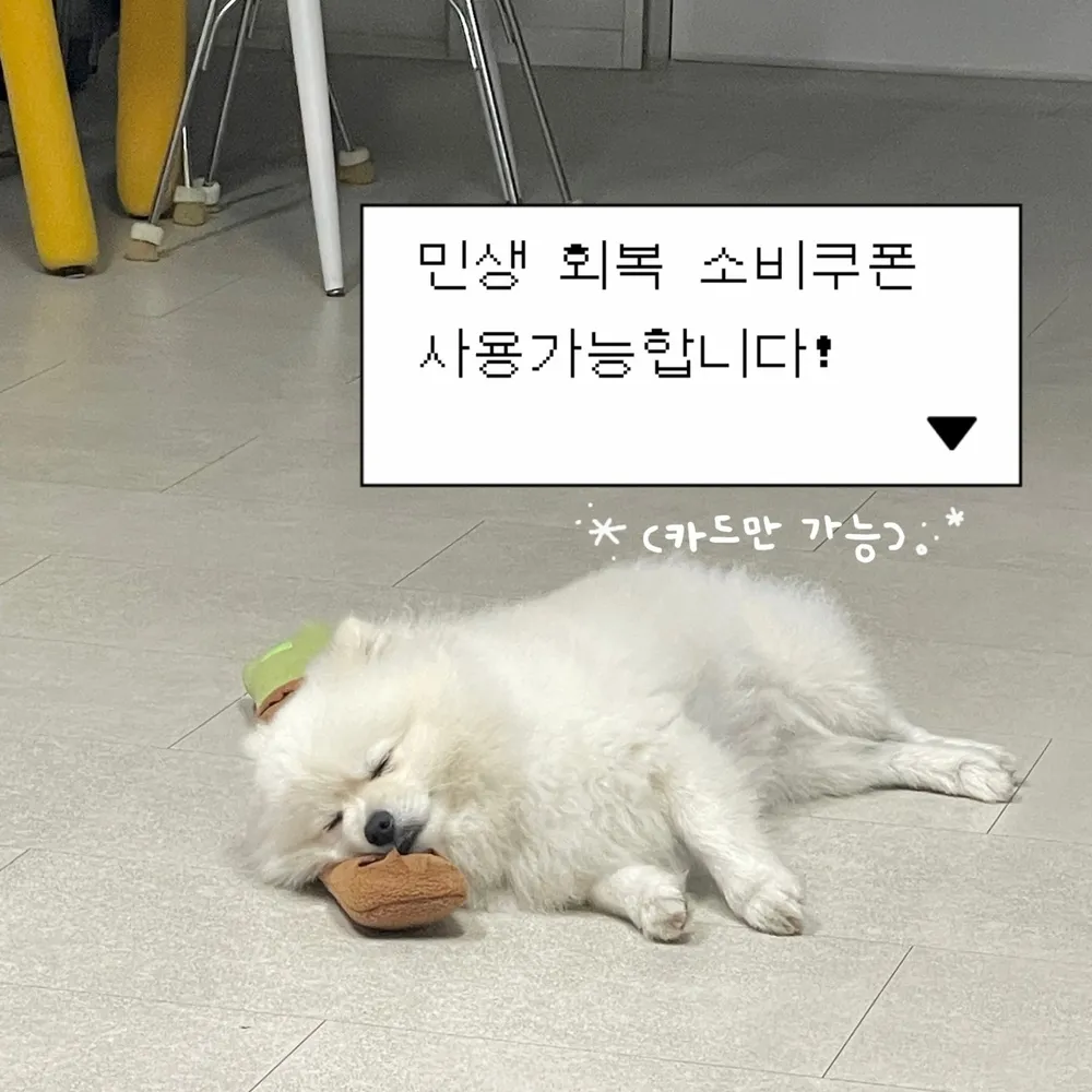 소와네일 대표 이미지